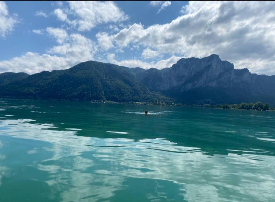 Die Feelgood-Wohnung Am Mondsee Εξωτερικό φωτογραφία